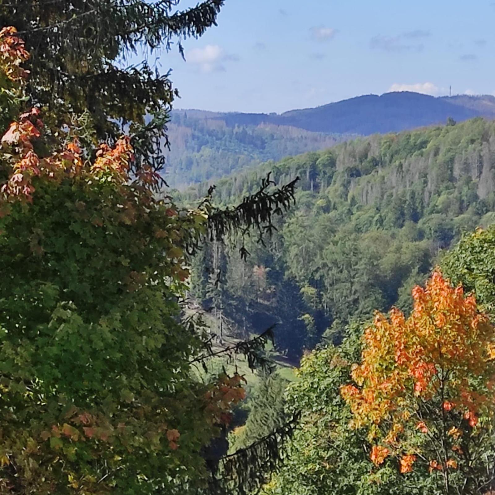 Fewo Harzer Weitblick, Hunde Willkommen, W-Lan, 2X Smart Tv, Dtv 4 Sterne, 4 Pfoten Braunlage Exteriér fotografie
