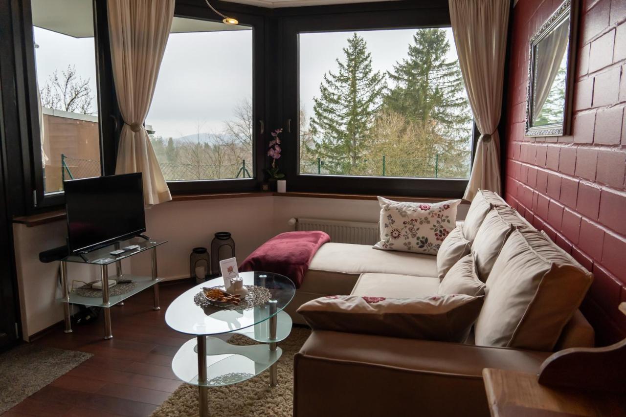 Fewo Harzer Weitblick, Hunde Willkommen, W-Lan, 2X Smart Tv, Dtv 4 Sterne, 4 Pfoten Braunlage Exteriér fotografie