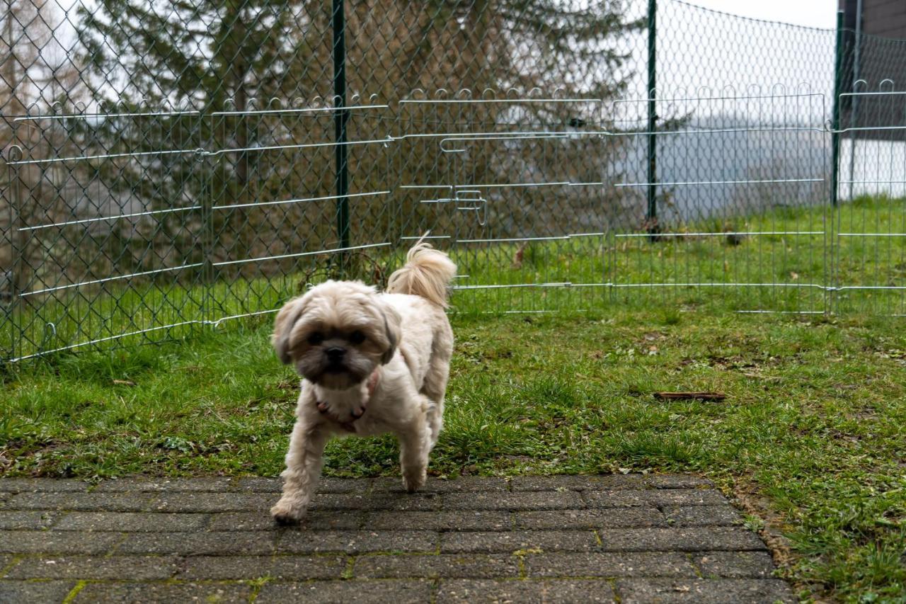 Fewo Harzer Weitblick, Hunde Willkommen, W-Lan, 2X Smart Tv, Dtv 4 Sterne, 4 Pfoten Braunlage Exteriér fotografie