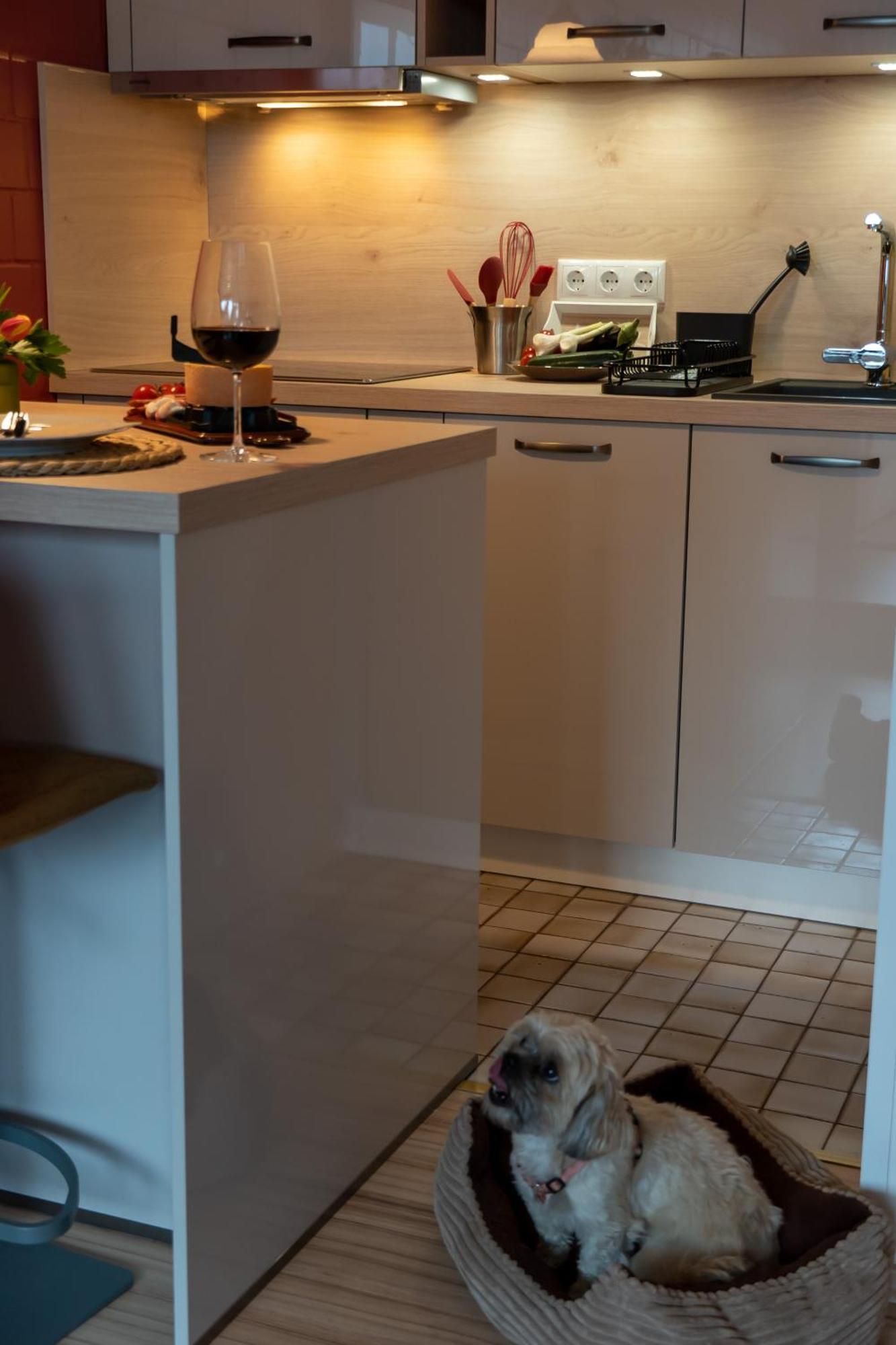 Fewo Harzer Weitblick, Hunde Willkommen, W-Lan, 2X Smart Tv, Dtv 4 Sterne, 4 Pfoten Braunlage Exteriér fotografie