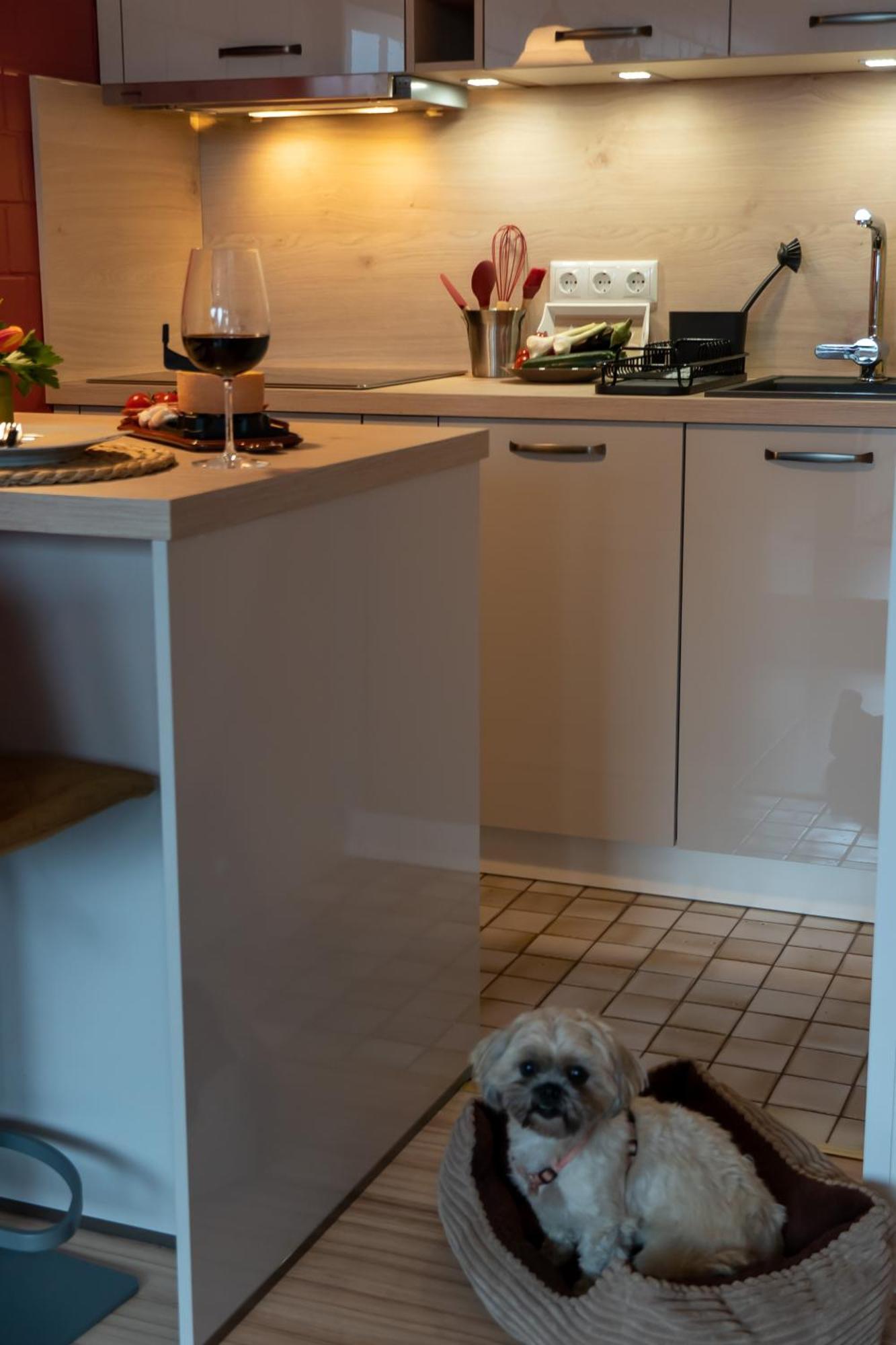 Fewo Harzer Weitblick, Hunde Willkommen, W-Lan, 2X Smart Tv, Dtv 4 Sterne, 4 Pfoten Braunlage Exteriér fotografie