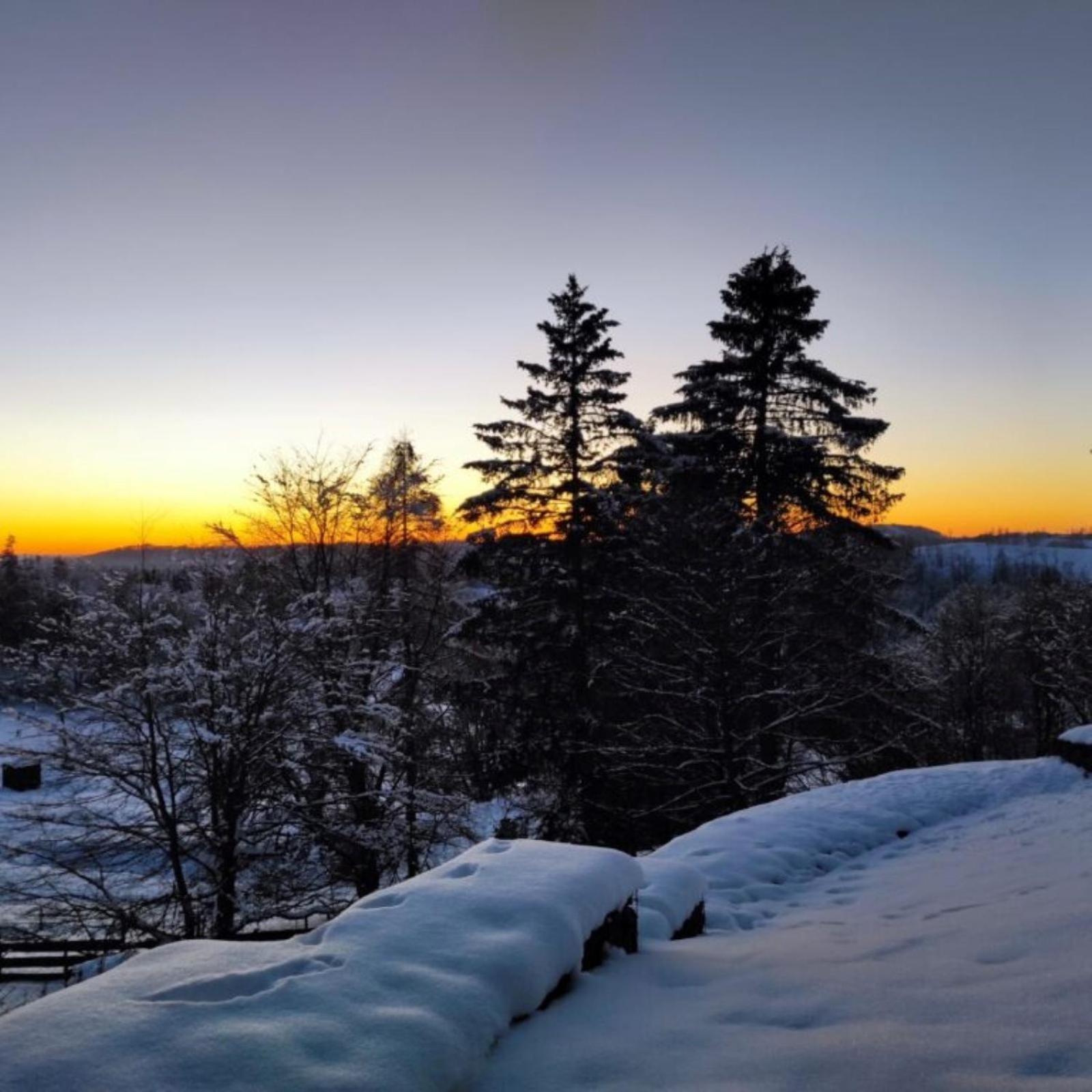 Fewo Harzer Weitblick, Hunde Willkommen, W-Lan, 2X Smart Tv, Dtv 4 Sterne, 4 Pfoten Braunlage Exteriér fotografie