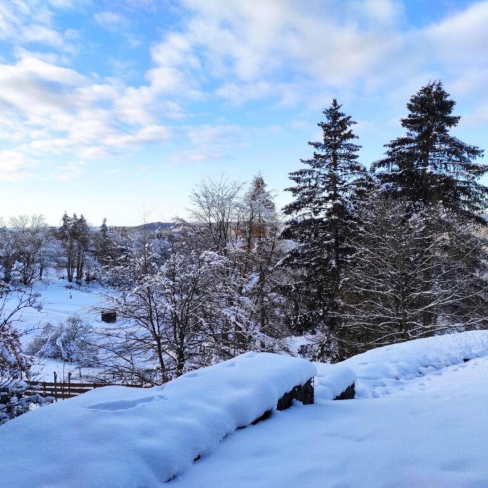 Fewo Harzer Weitblick, Hunde Willkommen, W-Lan, 2X Smart Tv, Dtv 4 Sterne, 4 Pfoten Braunlage Exteriér fotografie