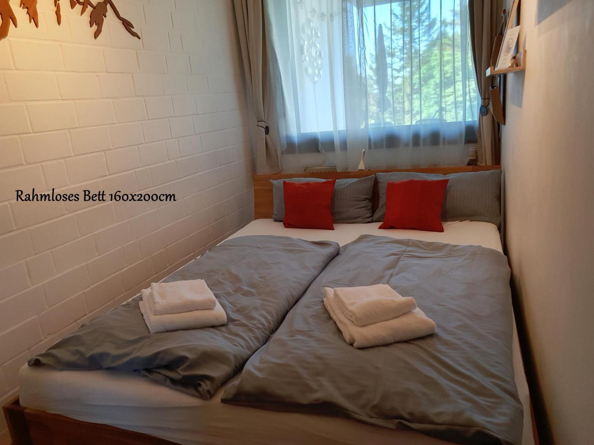 Fewo Harzer Weitblick, Hunde Willkommen, W-Lan, 2X Smart Tv, Dtv 4 Sterne, 4 Pfoten Braunlage Exteriér fotografie